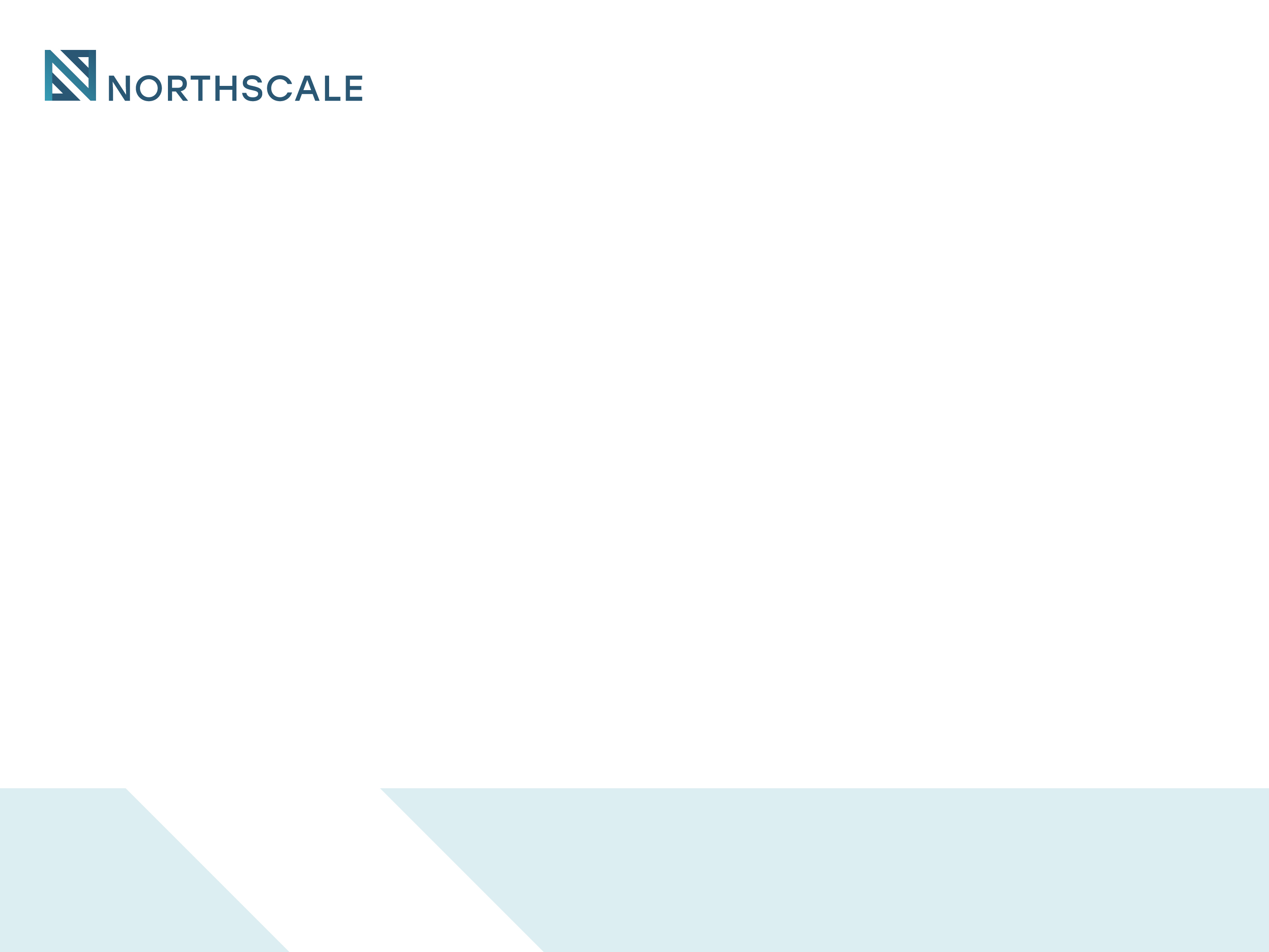 Northscale logo